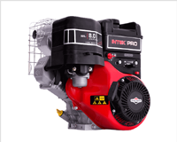 Intek 8 hp Briggs and sTratton